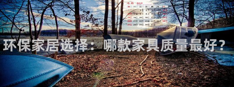 沐鸣2注册登录官网：环保家居选择：哪款家具质量最好？