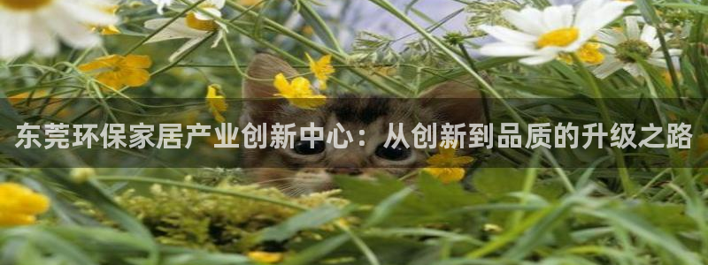 沐鸣2是什么平台