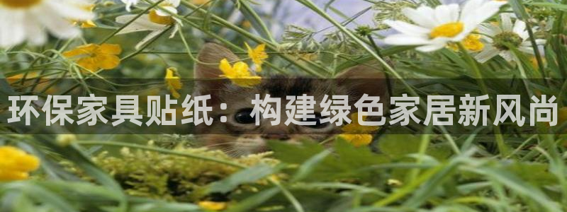 沐鸣2手机网页登录入口：环保家具贴纸：构建绿色家居新风尚